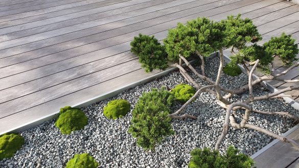 Terrasse et végétaux