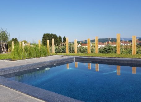 Piscine avec éléments végétaux et bois