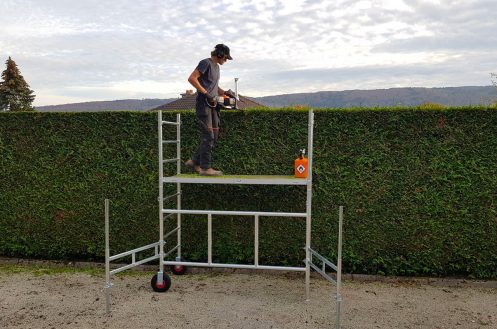 Entretien haie