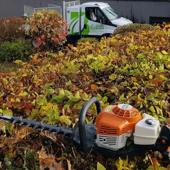 Jardins_Baron_entretien_haies_automne