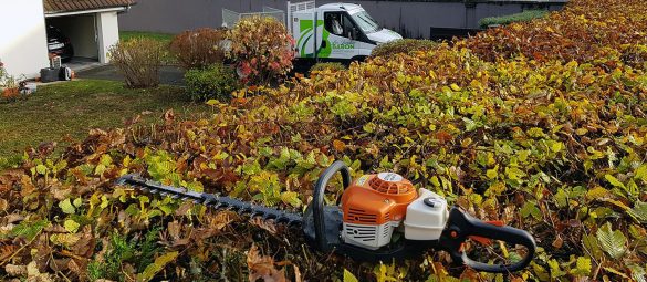 Jardins_Baron_entretien_haies_automne